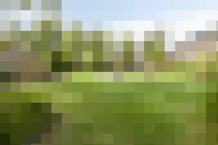 Kleyn Proffijtlaan 22 Oegstgeest thumbnail 34