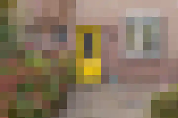 Kleyn Proffijtlaan 22 Oegstgeest thumbnail 6