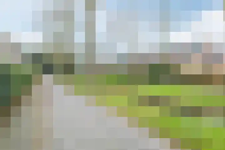 Kleyn Proffijtlaan 55 Oegstgeest thumbnail 35