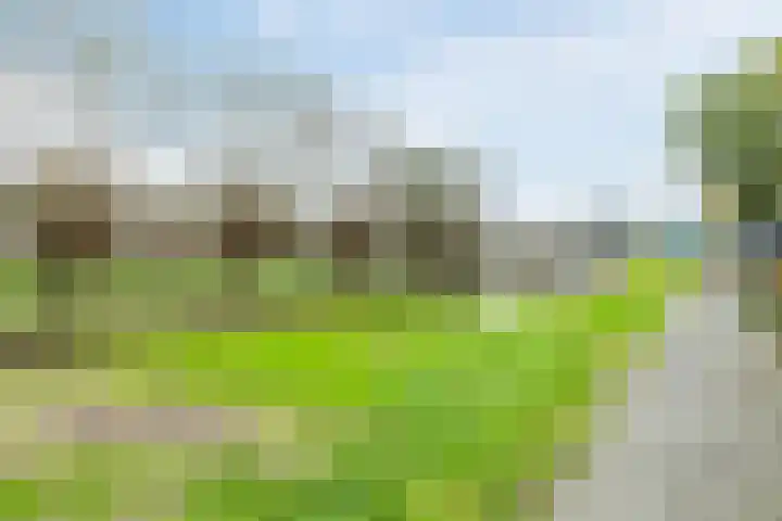 Kleyn Proffijtlaan 55 Oegstgeest thumbnail 36