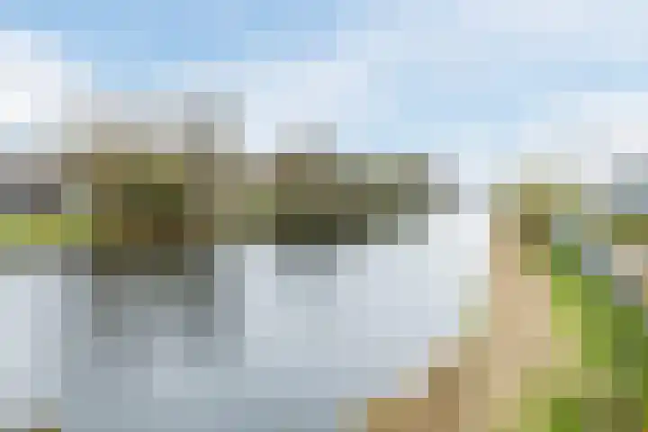 Kleyn Proffijtlaan 55 Oegstgeest thumbnail 37