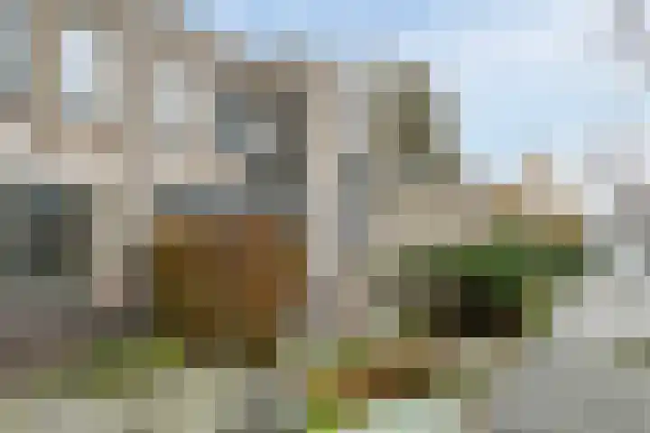 Kleyn Proffijtlaan 55 Oegstgeest thumbnail 5
