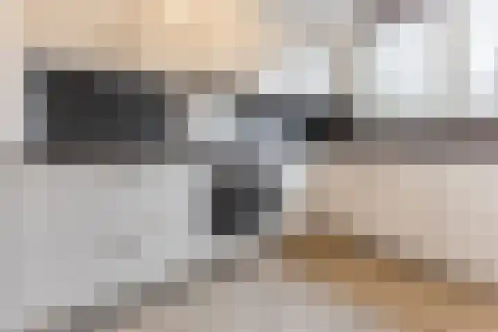 Kleyn Proffijtlaan 55 Oegstgeest thumbnail 8