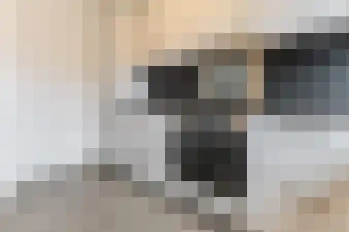 Kleyn Proffijtlaan 55 Oegstgeest thumbnail 9