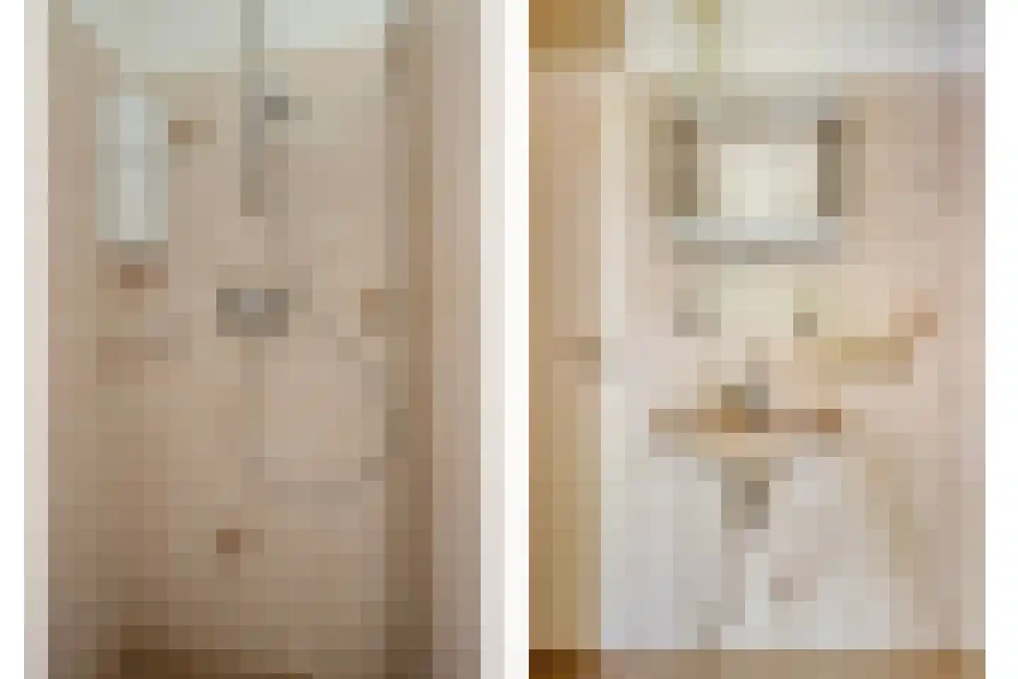 Kleyn Proffijtlaan 69 Oegstgeest thumbnail 23