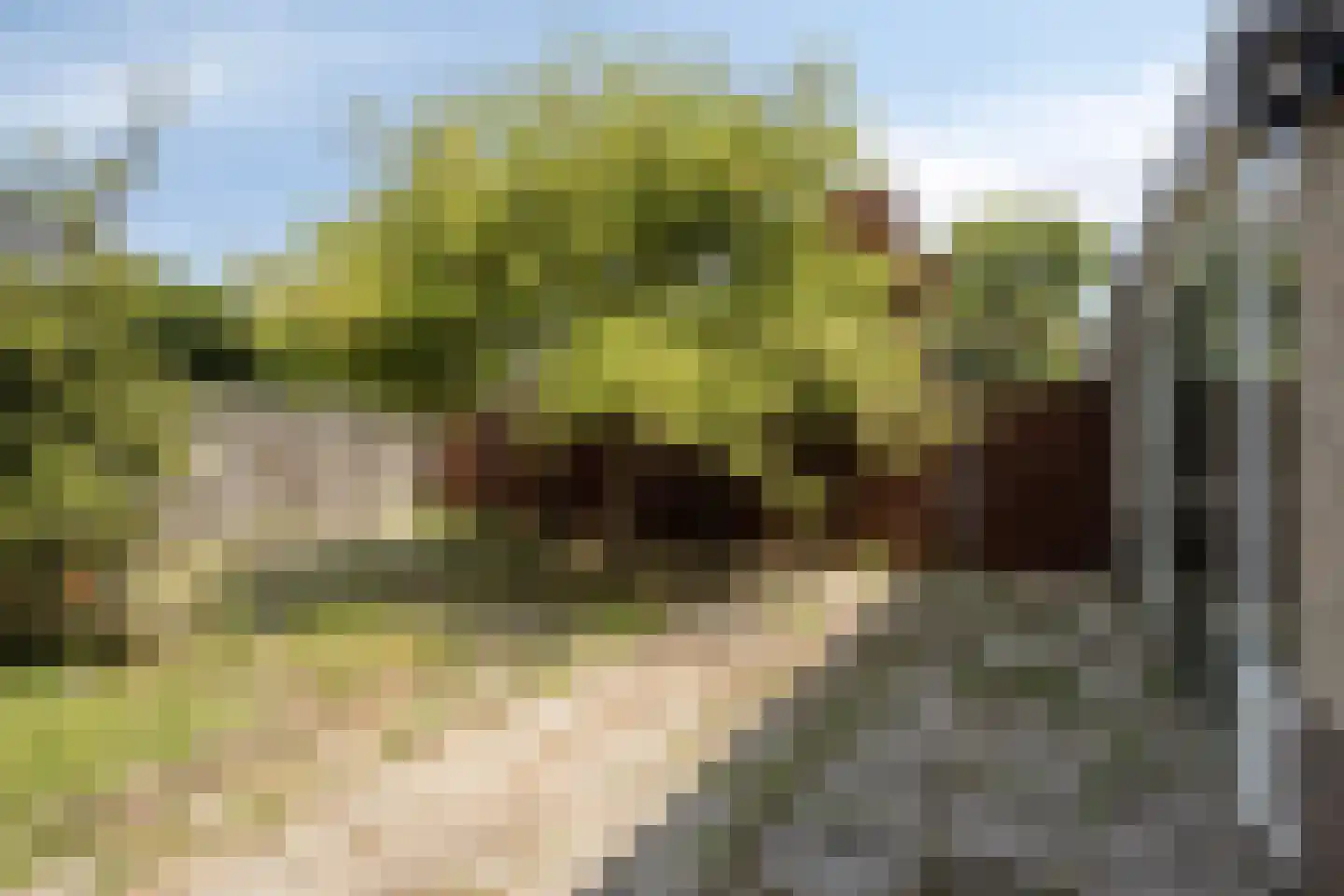 Kleyn Proffijtlaan 69 Oegstgeest thumbnail 39