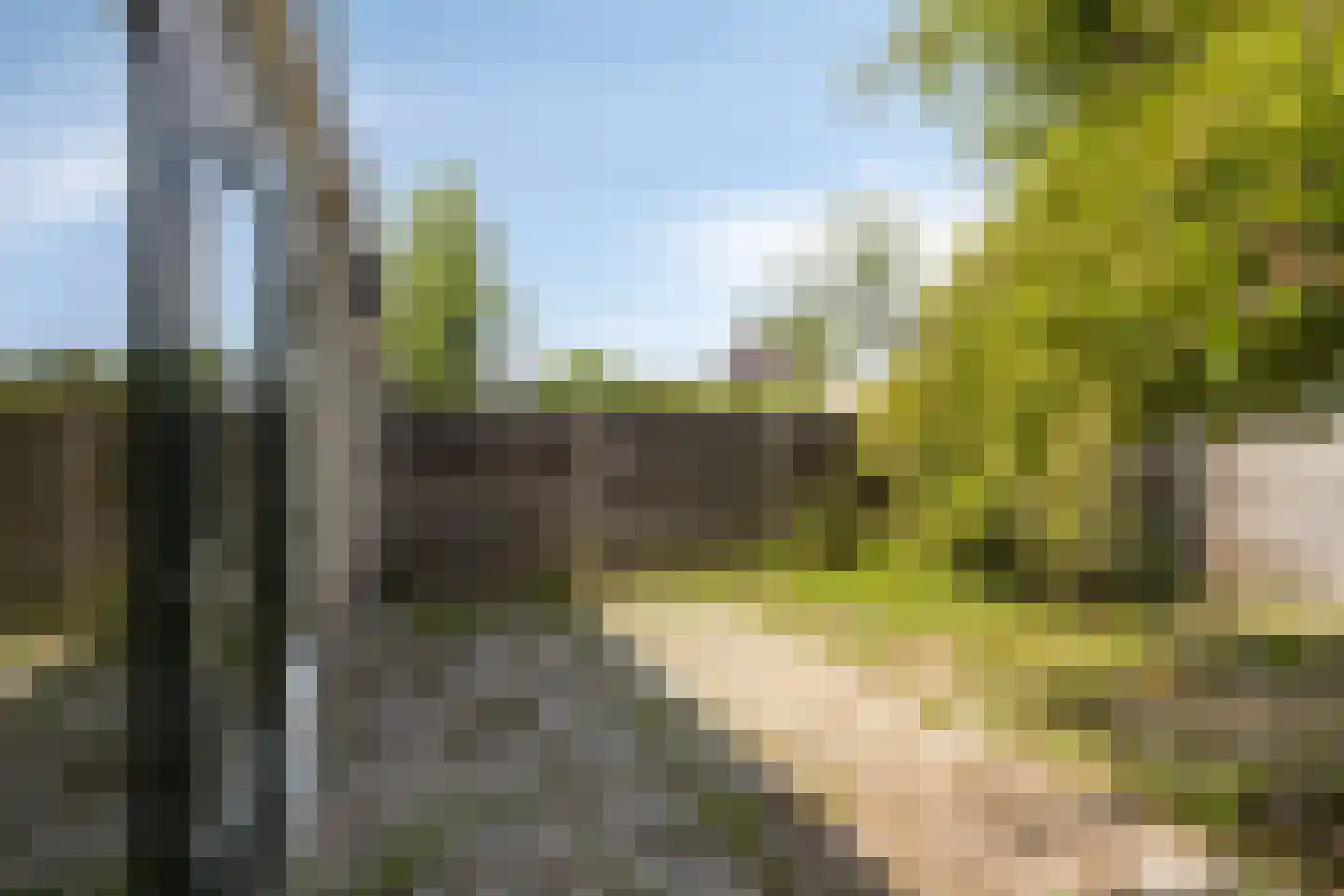 Kleyn Proffijtlaan 69 Oegstgeest thumbnail 40