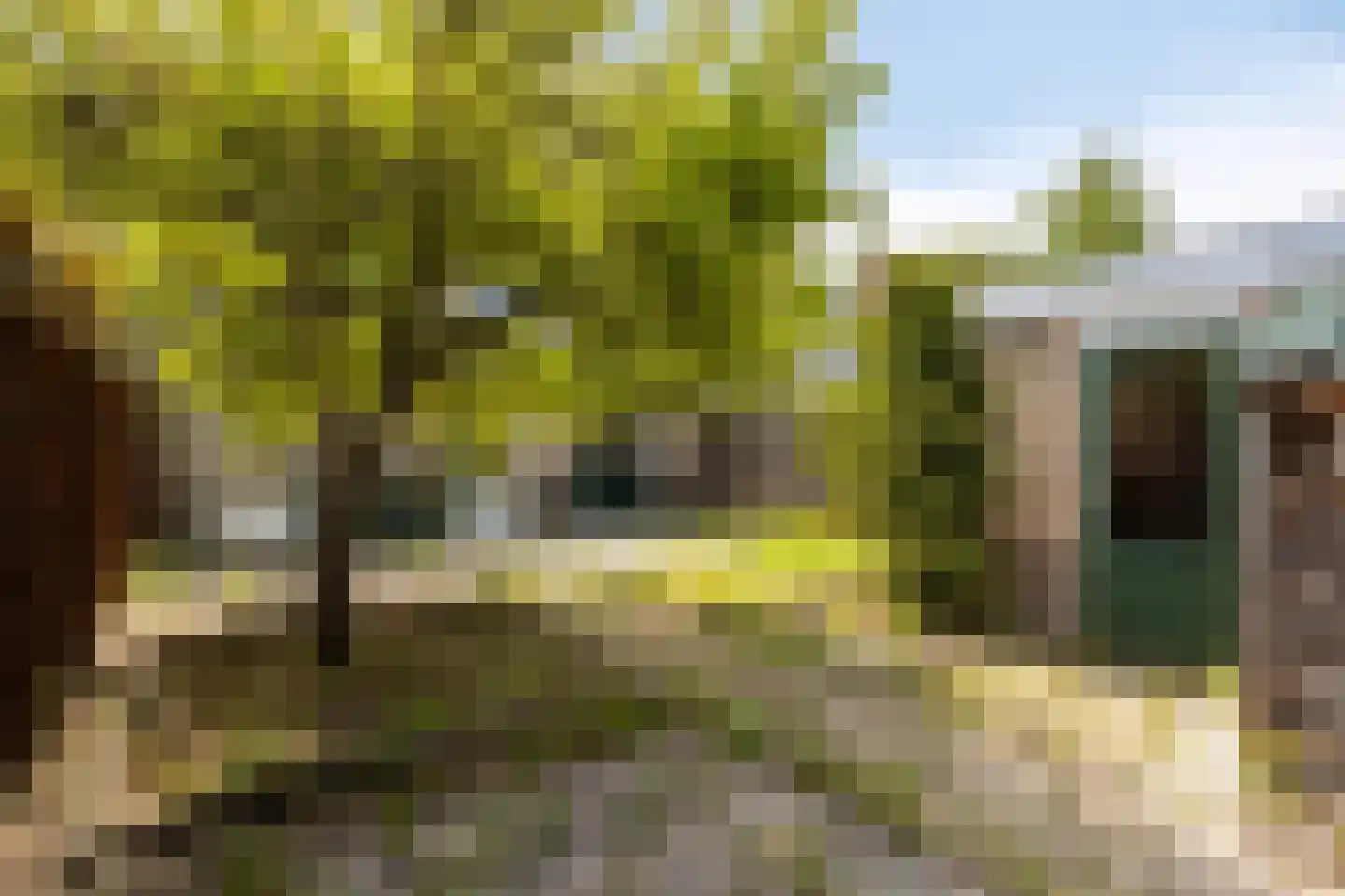 Kleyn Proffijtlaan 69 Oegstgeest thumbnail 42