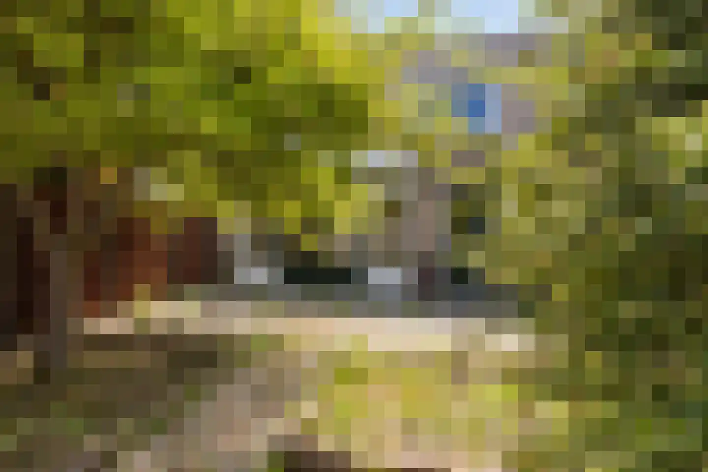 Kleyn Proffijtlaan 69 Oegstgeest thumbnail 43
