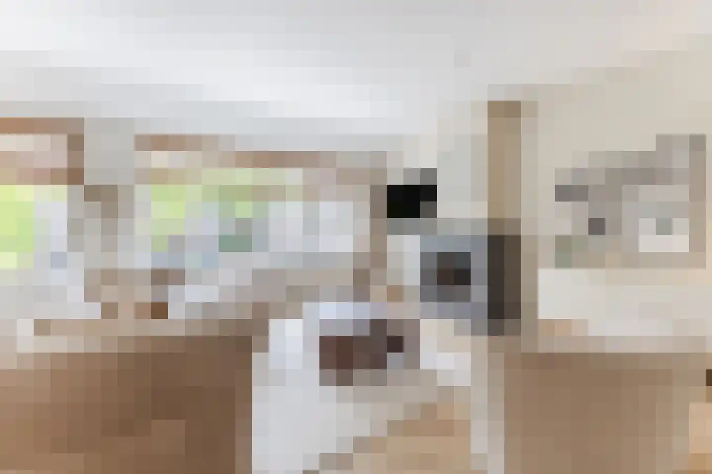 Kleyn Proffijtlaan 8 Oegstgeest thumbnail 12