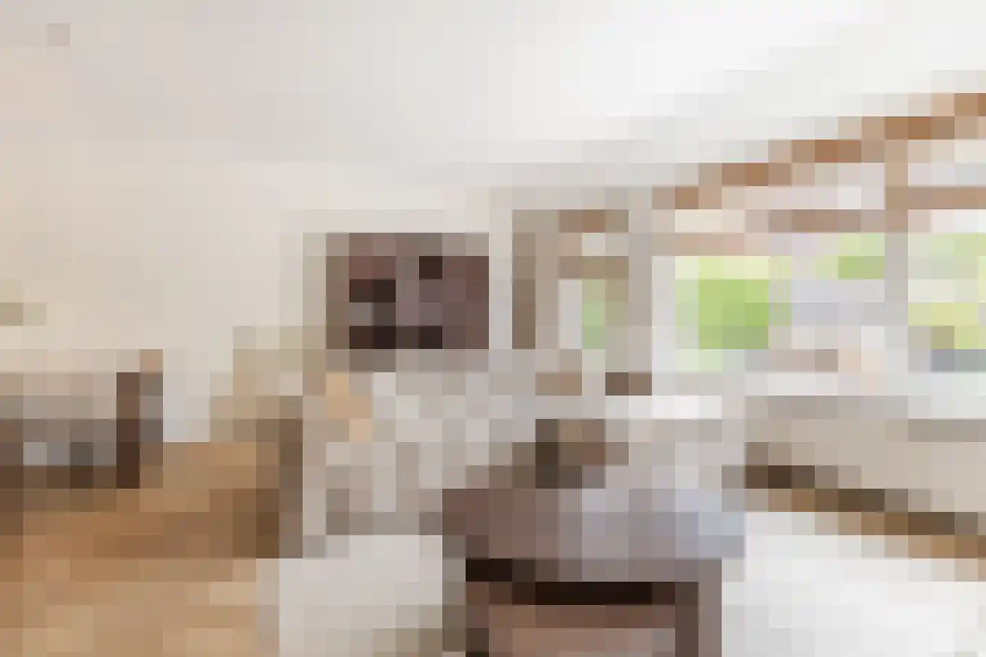 Kleyn Proffijtlaan 8 Oegstgeest thumbnail 13