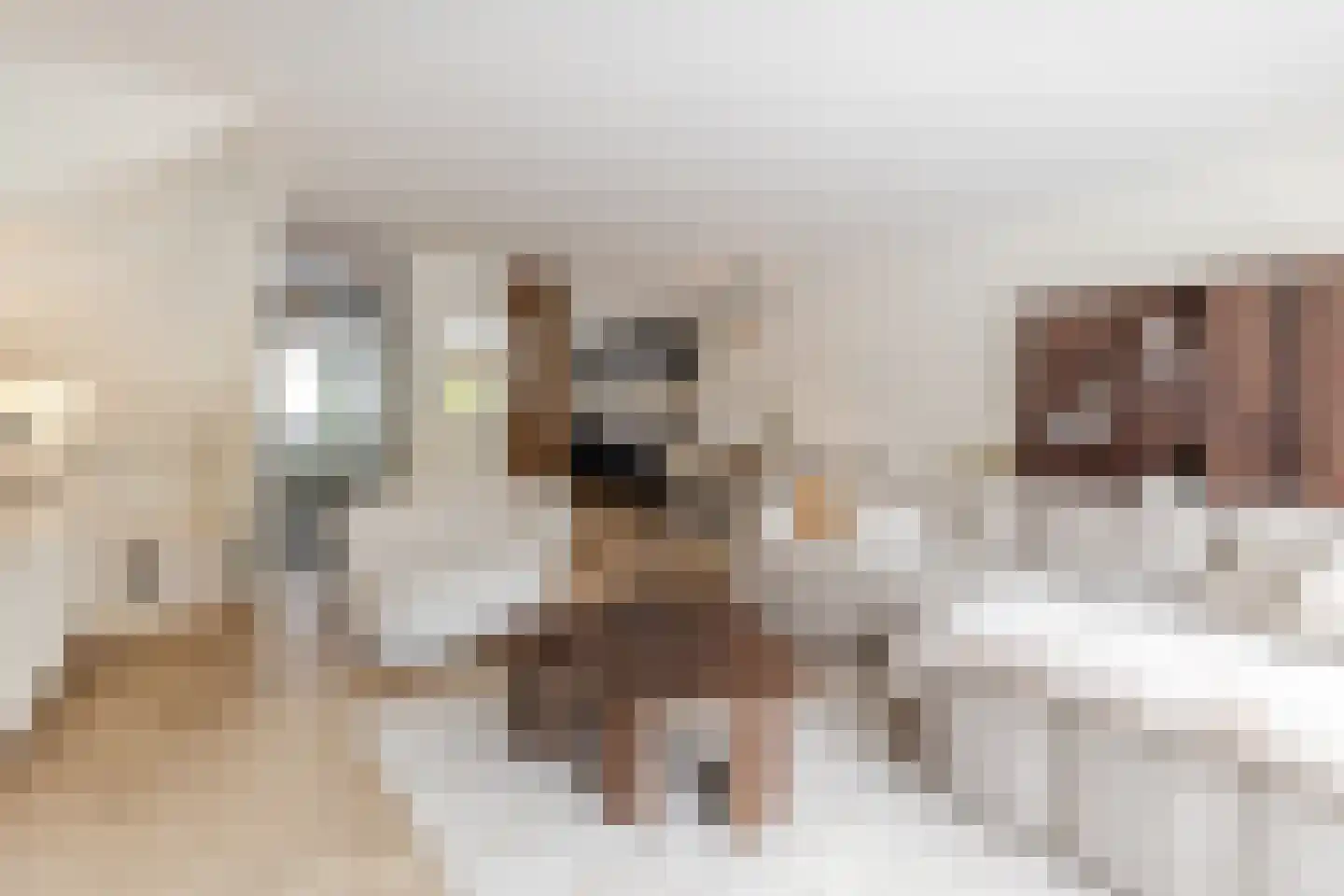 Kleyn Proffijtlaan 8 Oegstgeest thumbnail 14