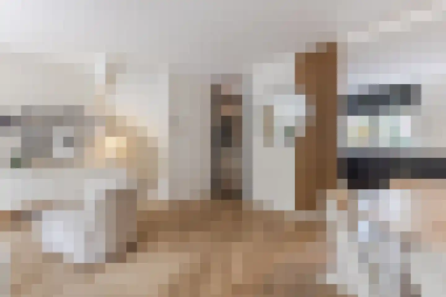 Kleyn Proffijtlaan 8 Oegstgeest thumbnail 15