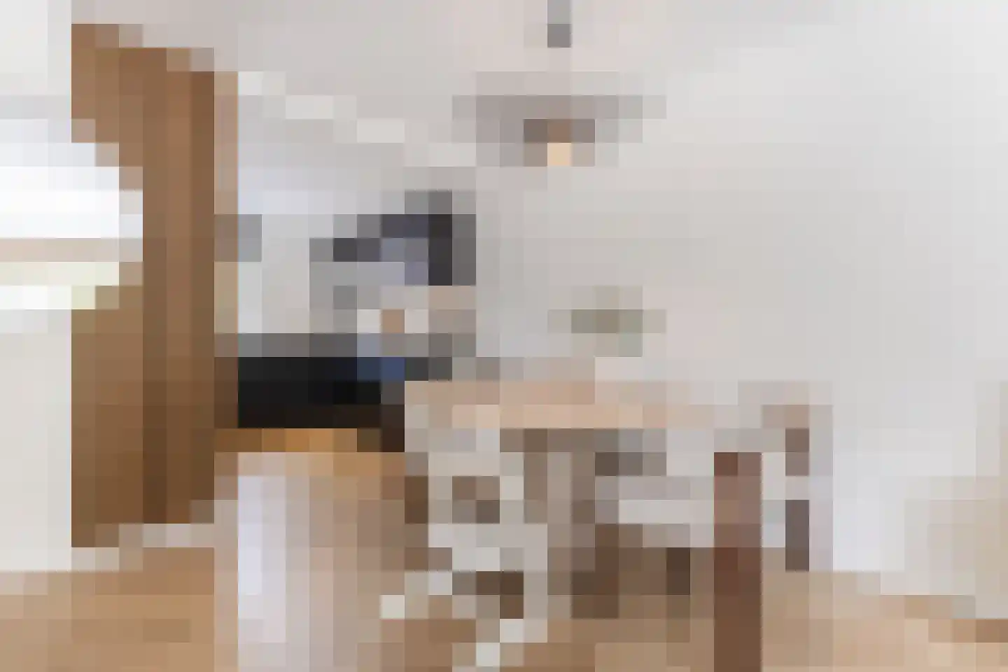 Kleyn Proffijtlaan 8 Oegstgeest thumbnail 16