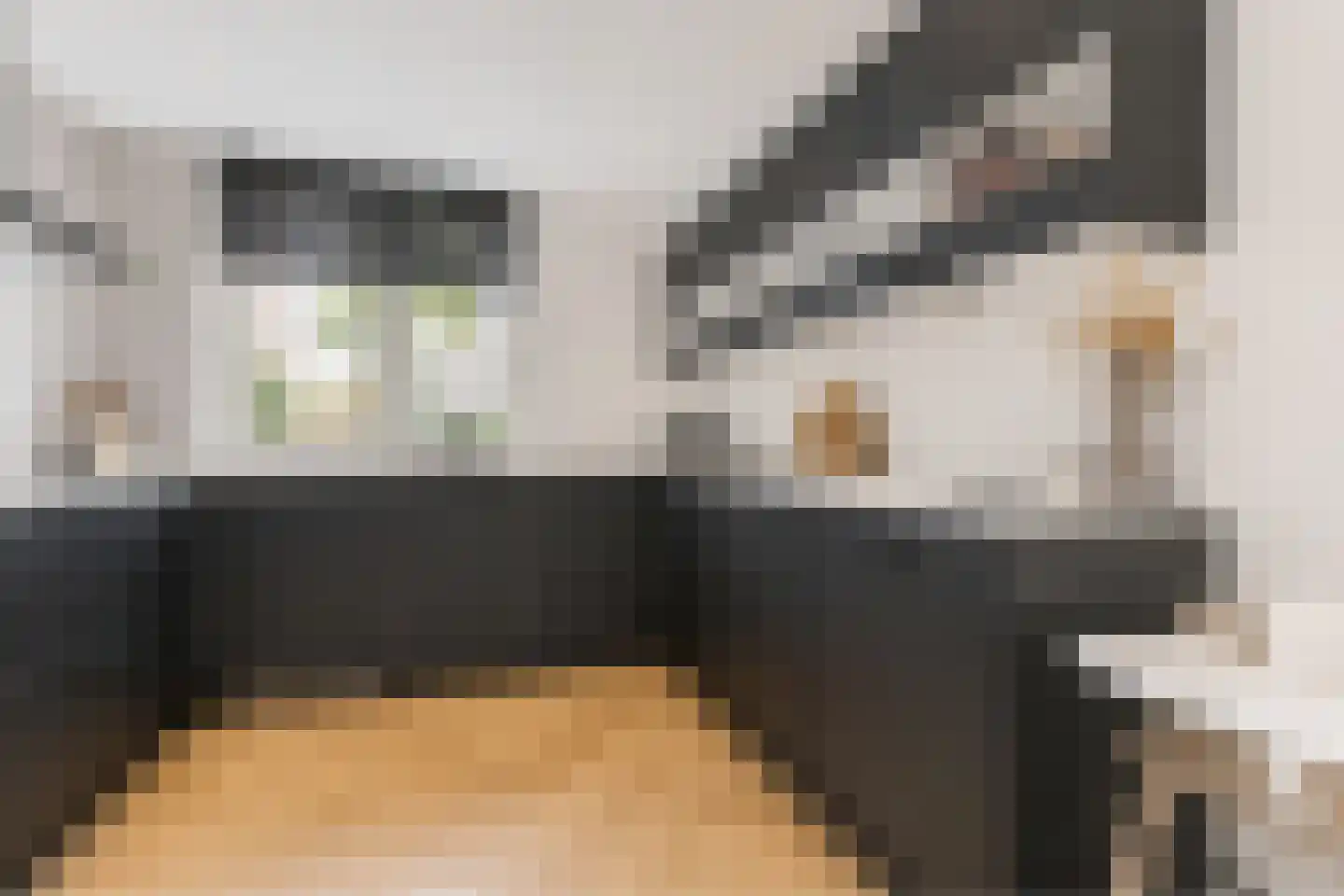 Kleyn Proffijtlaan 8 Oegstgeest thumbnail 17