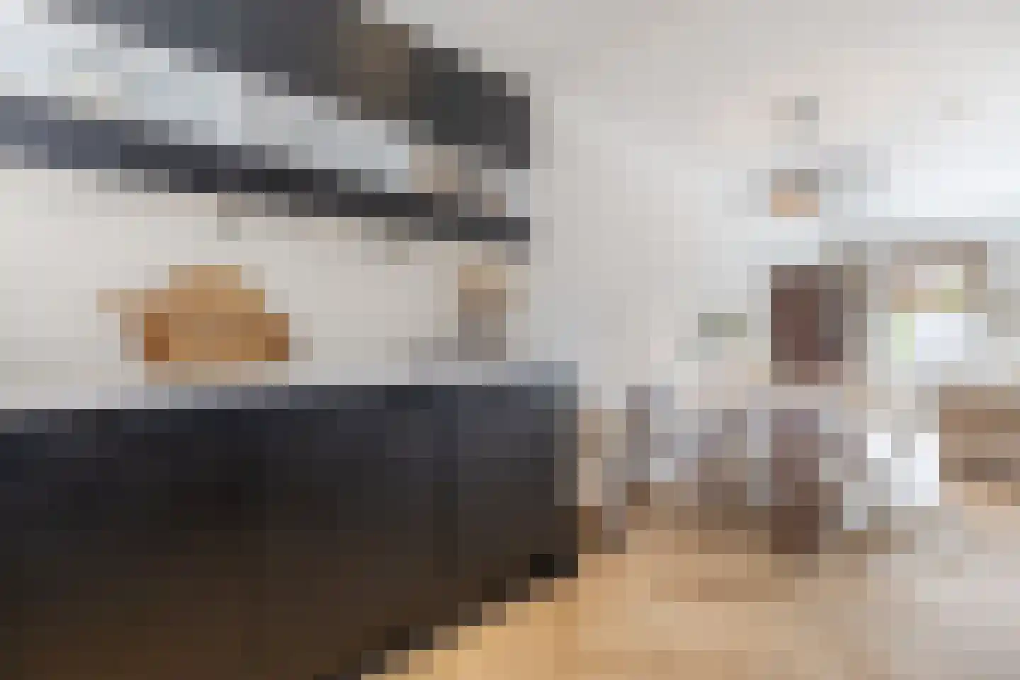 Kleyn Proffijtlaan 8 Oegstgeest thumbnail 19