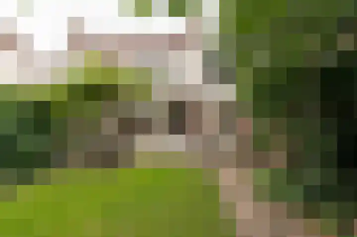Kleynhoffstraat 33 Culemborg thumbnail 19