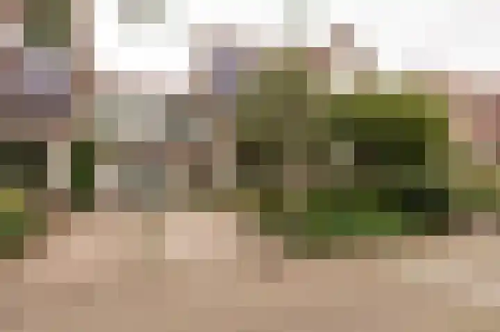 Kleynhoffstraat 33 Culemborg thumbnail 39