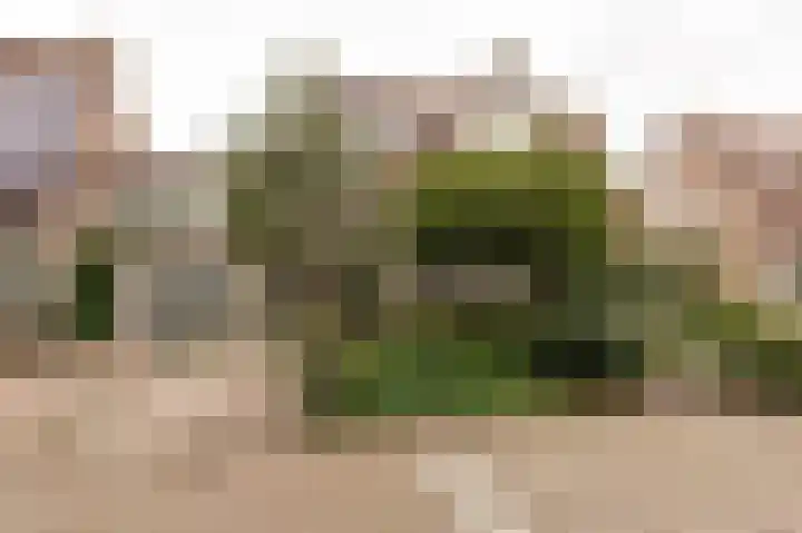 Kleynhoffstraat 33 Culemborg thumbnail 5