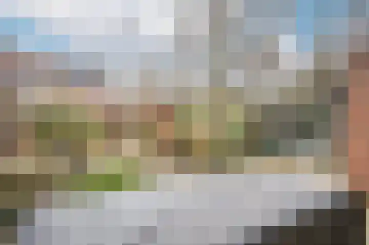 Kleynhoffstraat 42 Culemborg thumbnail 35