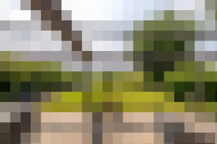 Kliefdiep 28 Groningen thumbnail 10