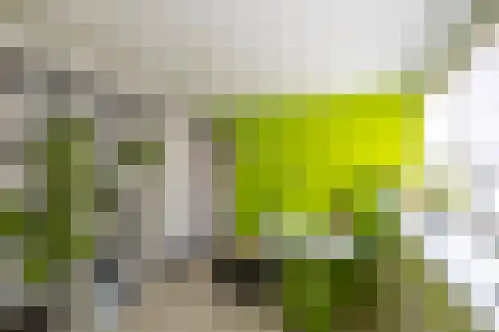 Kliefdiep 28 Groningen thumbnail 17
