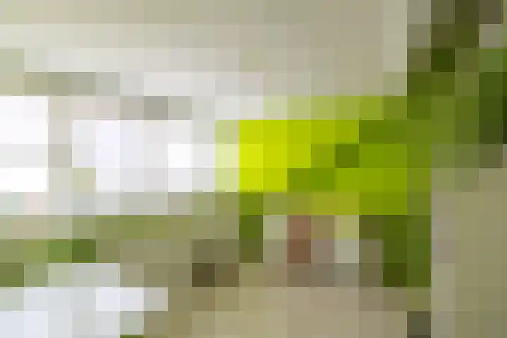 Kliefdiep 28 Groningen thumbnail 18