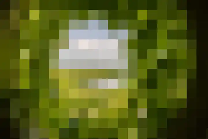 Kliefdiep 28 Groningen thumbnail 27