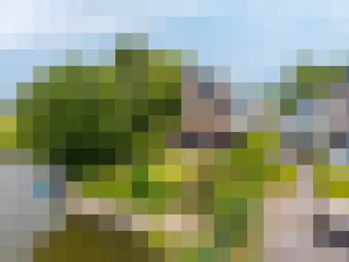 Kliefdiep 28 Groningen thumbnail 30