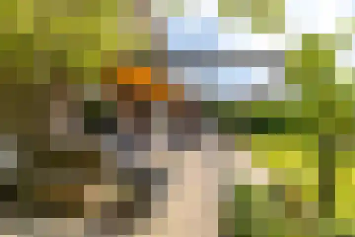 Kliefdiep 28 Groningen thumbnail 31