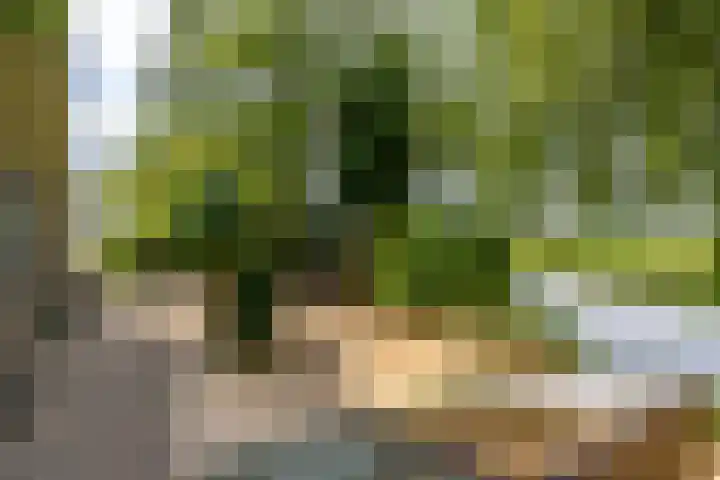 Kliefdiep 28 Groningen thumbnail 32