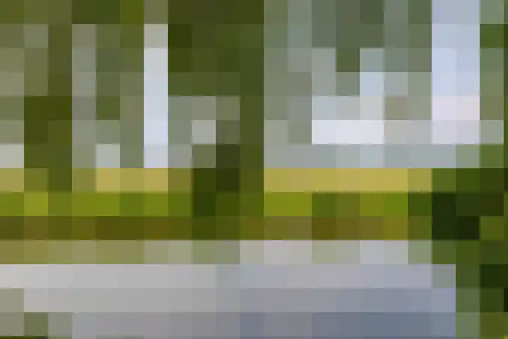 Kliefdiep 28 Groningen thumbnail 35
