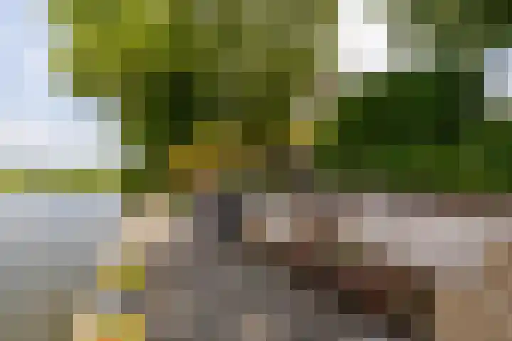 Kliefdiep 28 Groningen thumbnail 37
