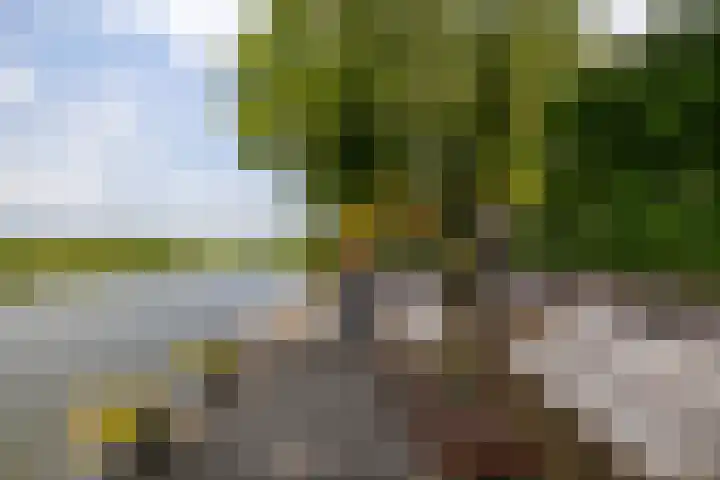 Kliefdiep 28 Groningen thumbnail 38