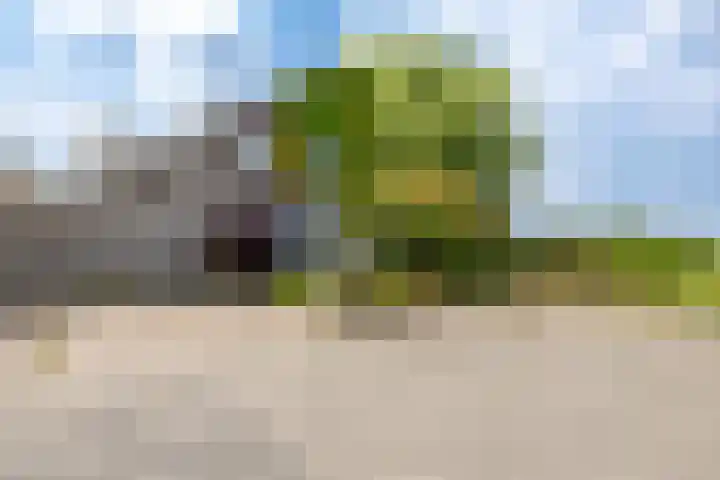 Kliefdiep 28 Groningen thumbnail 4