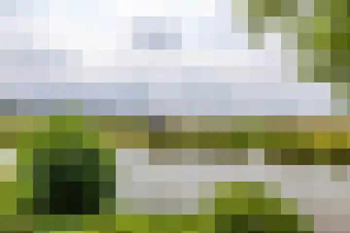 Kliefdiep 28 Groningen thumbnail 40