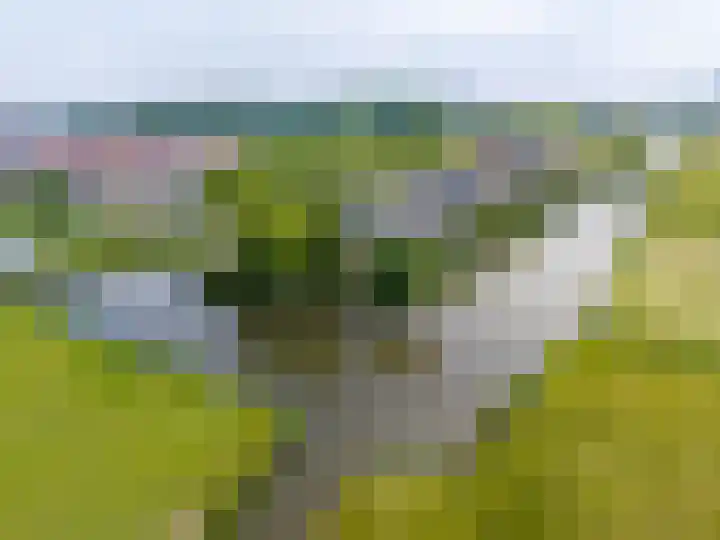 Kliefdiep 28 Groningen thumbnail 44