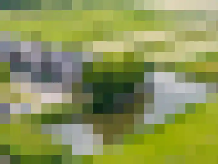Kliefdiep 28 Groningen thumbnail 46