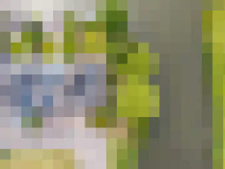 Kliefdiep 28 Groningen thumbnail 48