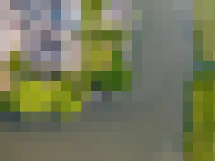 Kliefdiep 28 Groningen thumbnail 50