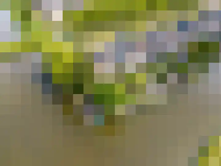 Kliefdiep 28 Groningen thumbnail 51