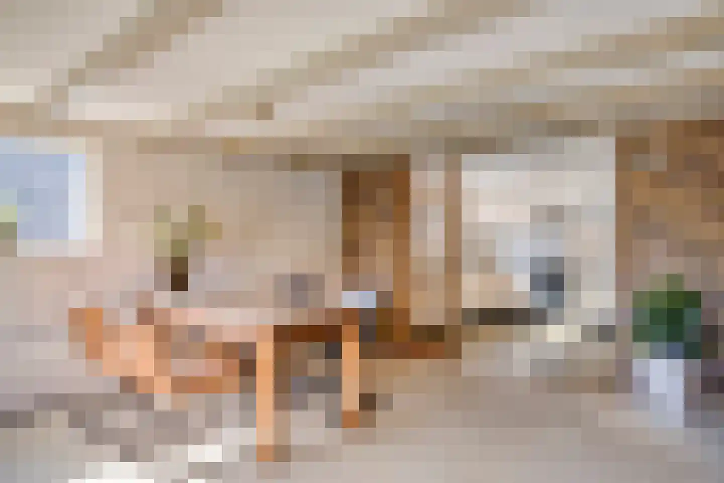 Klieftstraat 20 Hippolytushoef thumbnail 16