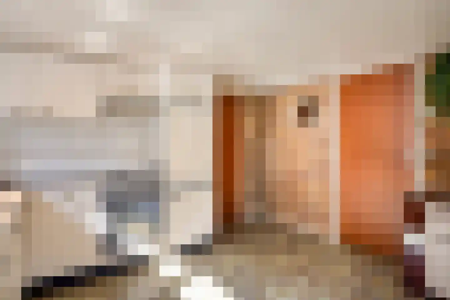 Klieftstraat 20 Hippolytushoef thumbnail 18
