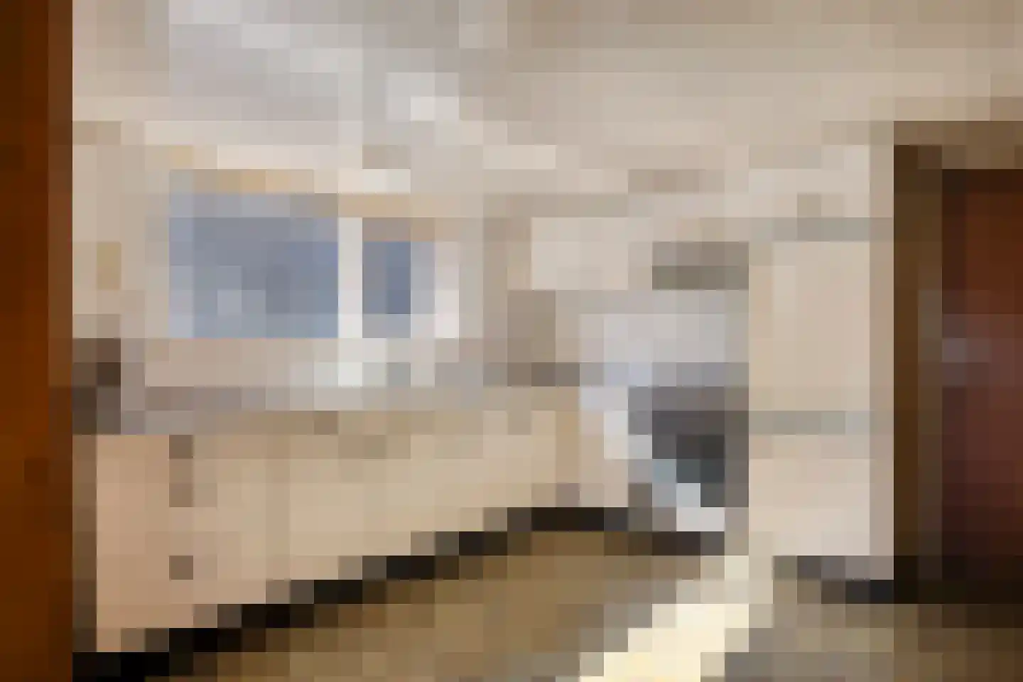 Klieftstraat 20 Hippolytushoef thumbnail 19