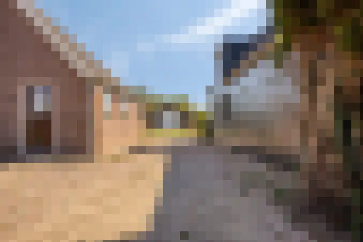 Klieftstraat 20 Hippolytushoef thumbnail 41
