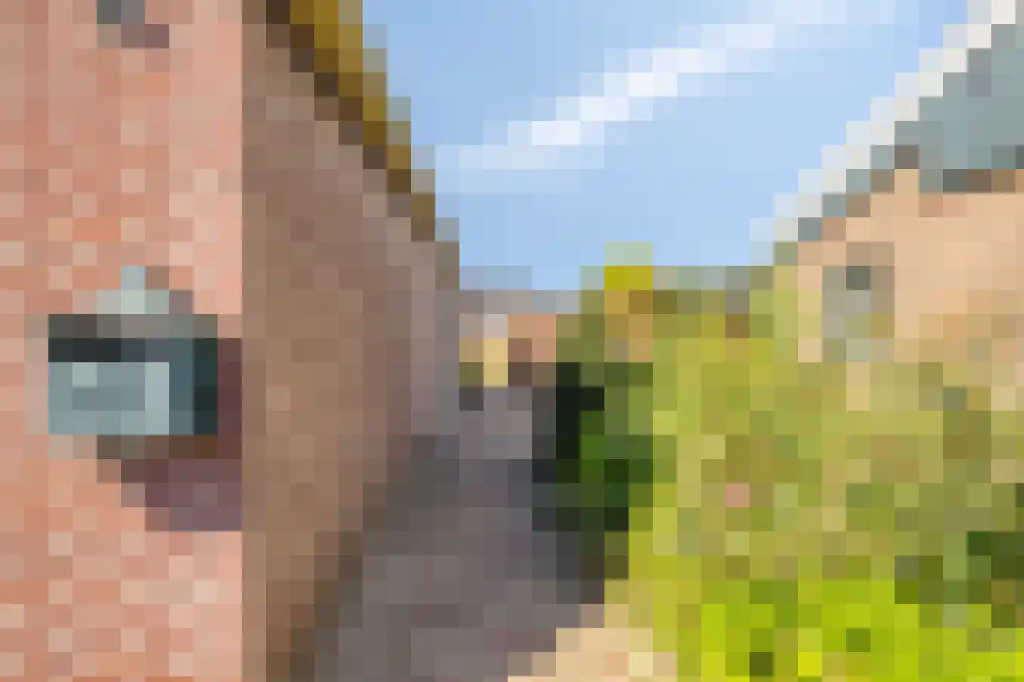 Klieftstraat 20 Hippolytushoef thumbnail 9