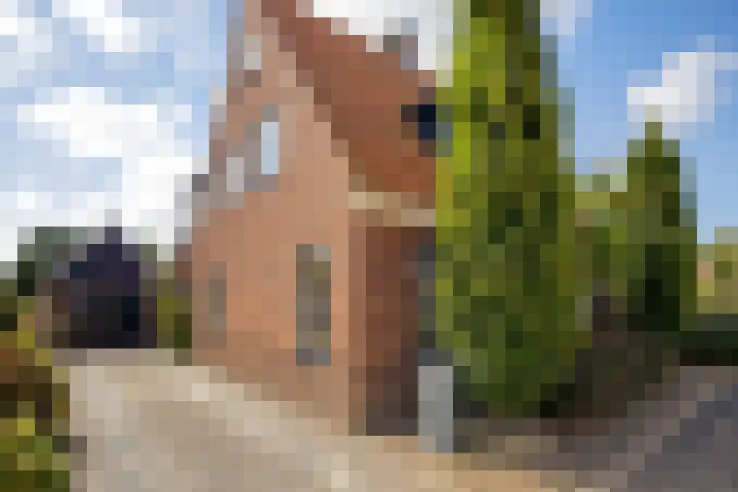 Klieftstraat 23 Hippolytushoef thumbnail 5