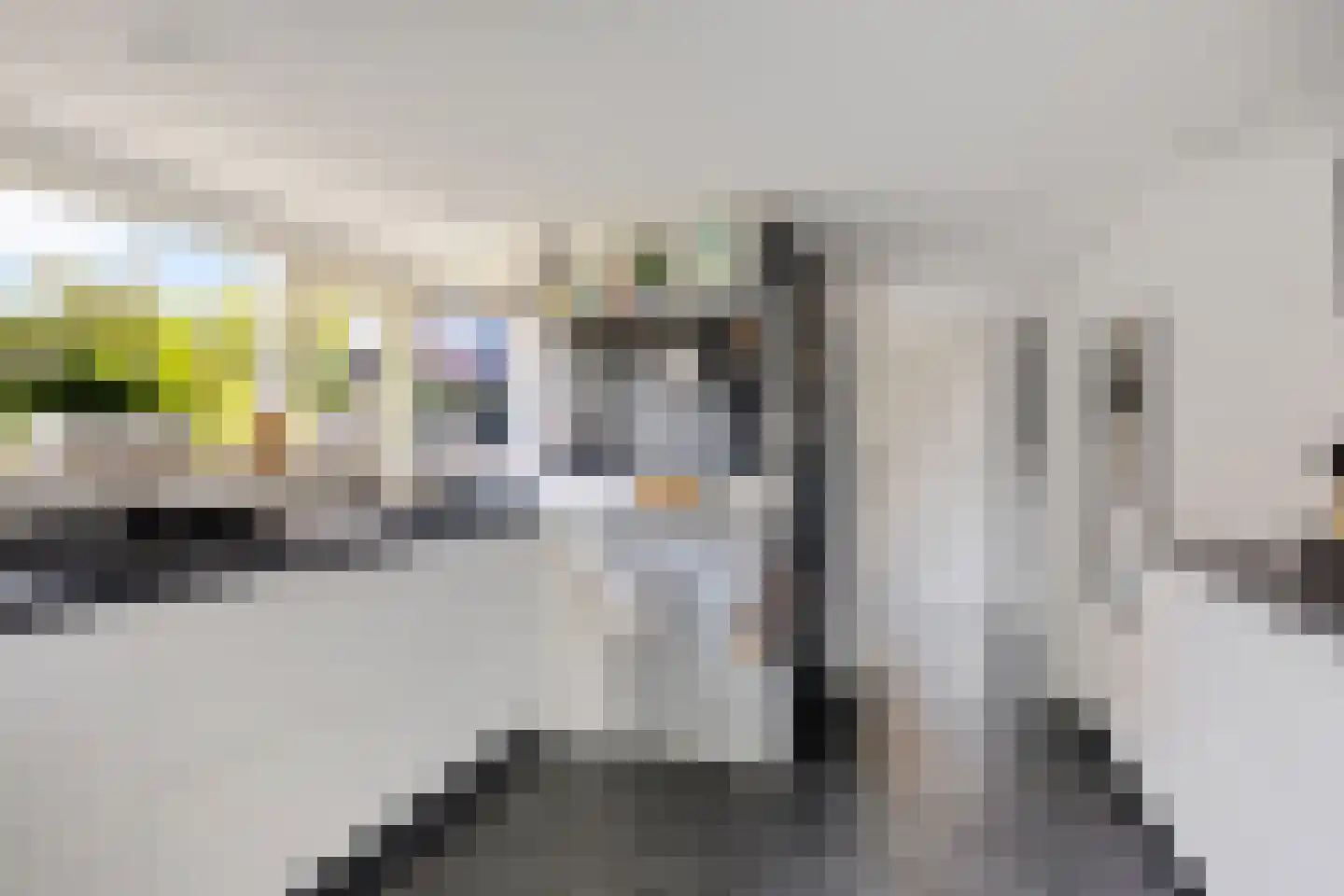 Klieftstraat 23 Hippolytushoef thumbnail 9