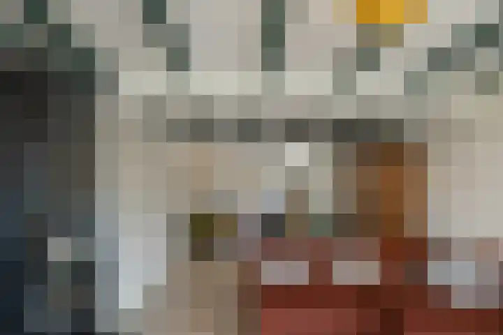 Klieftstraat 29 Hippolytushoef thumbnail 10
