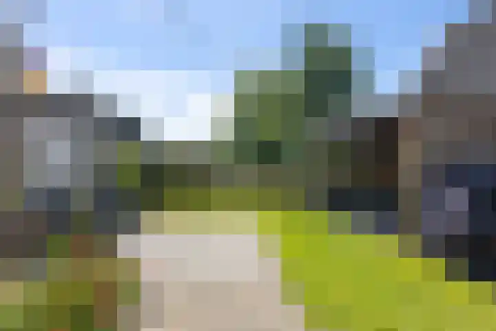 Klieftstraat 29 Hippolytushoef thumbnail 4